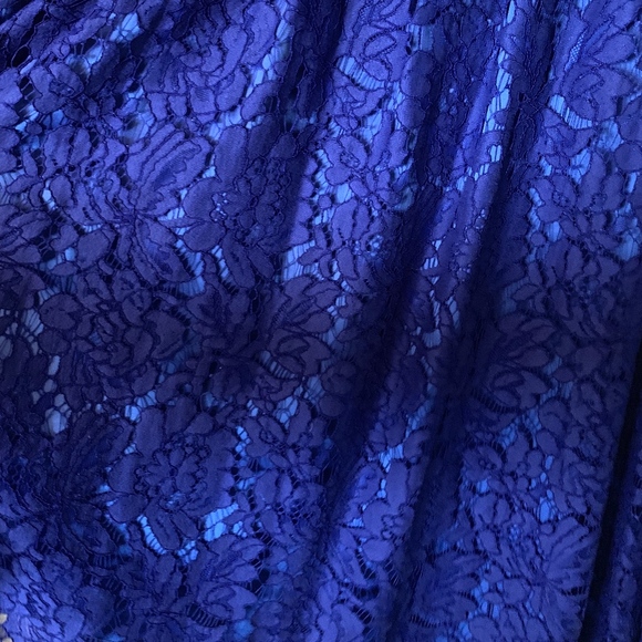 Eliza J Fit and Flare Lace Dress- Royal Blue - Picture 7 of 7